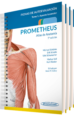 PROMETHEUS