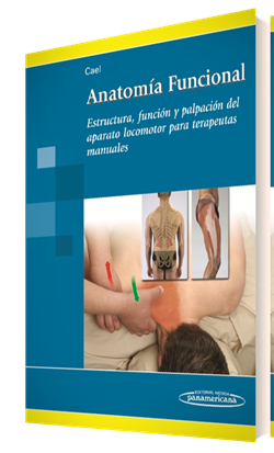 Anatomía Funcional